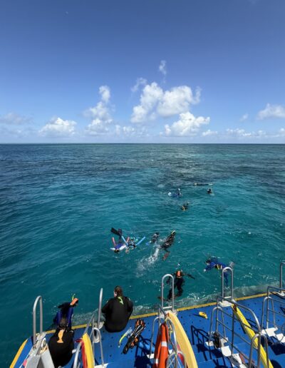 Beautiful day on the Great Barrier Reef with Calypso